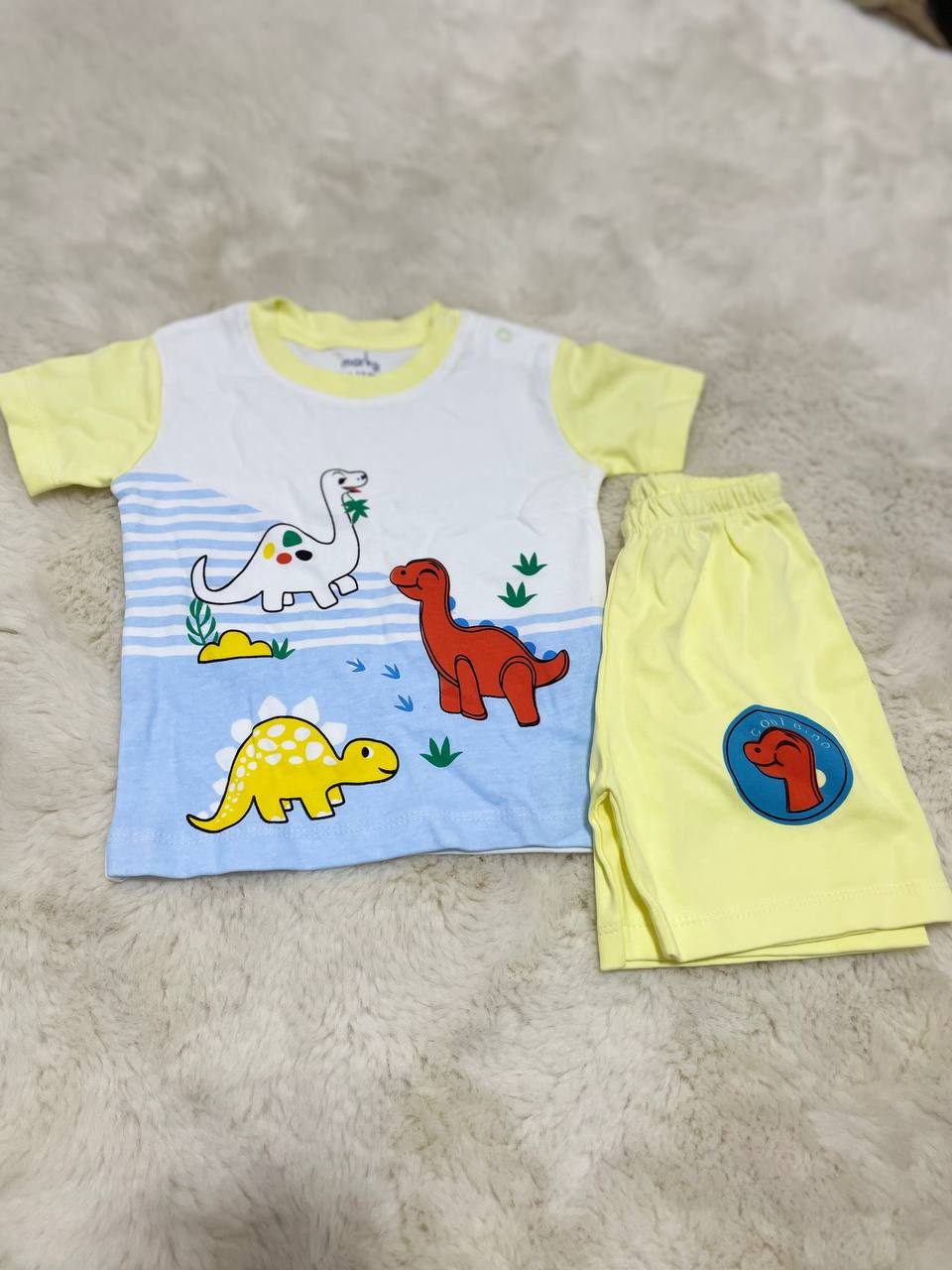 Dinosaur Tee & Shorts Set
